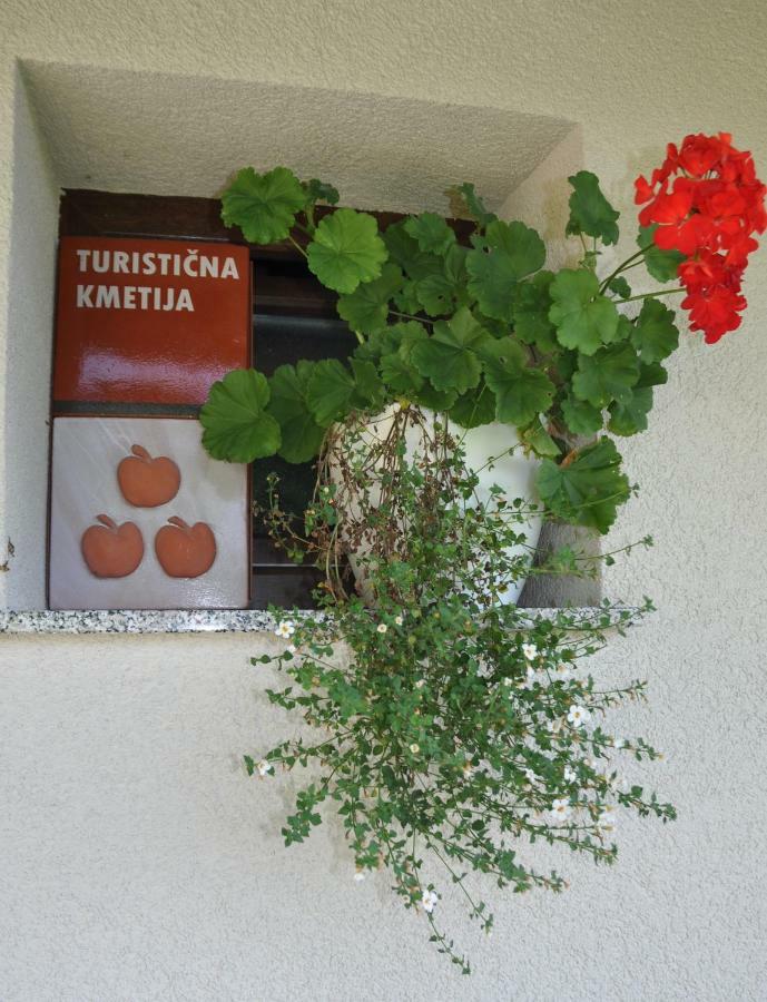 Zidanica Krstinc Villa Straza ภายนอก รูปภาพ